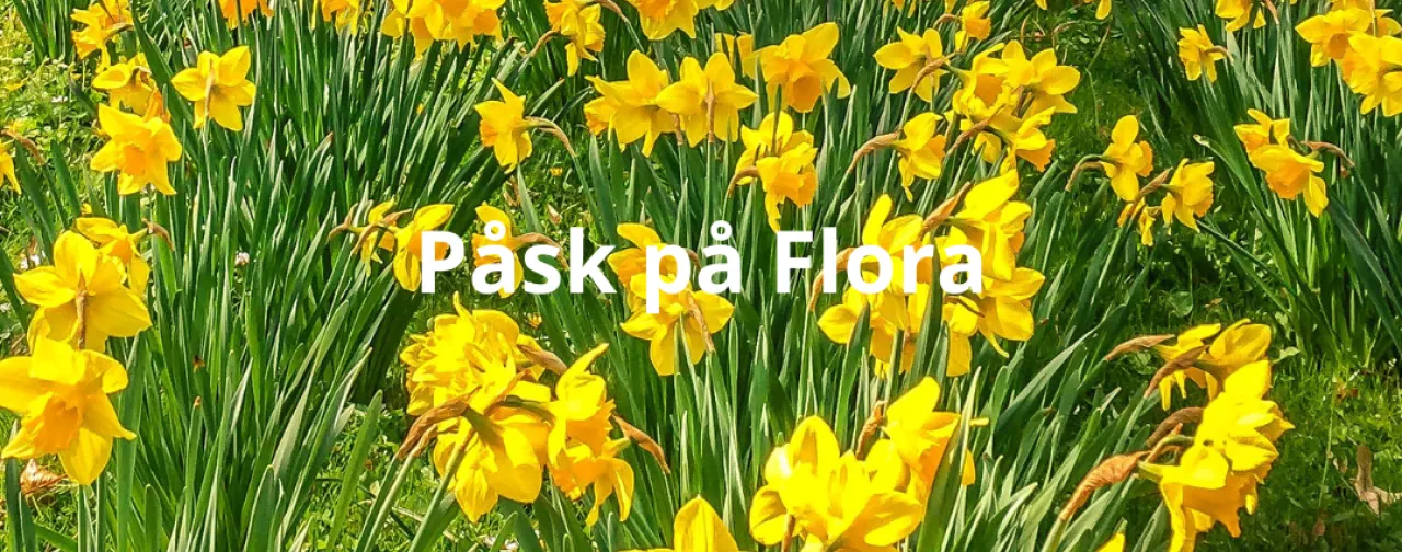 Påsk på Flora